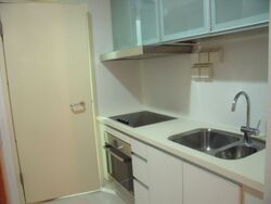 One Oxley Rise (D9), Apartment #316099371